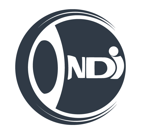 CInDI (Computational Intelligence & Design Informatics Laboratory) logo
